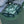 Green cap with bear pattern and DCC branding 